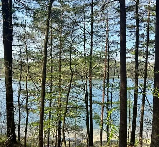 Kaszuby Maly * Potuly