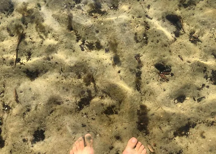 Kaszuby Maly * Potuly